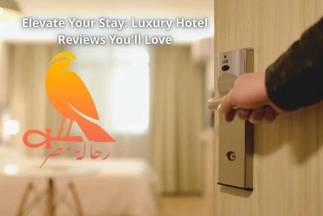 Elevate Your Stay: Luxury Hotel Reviews You'll Love