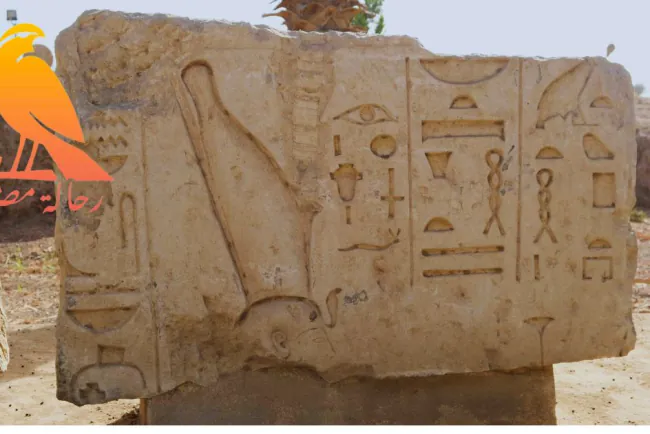 Exploring Egyptology: Uncover Ancient Egyptian Secrets