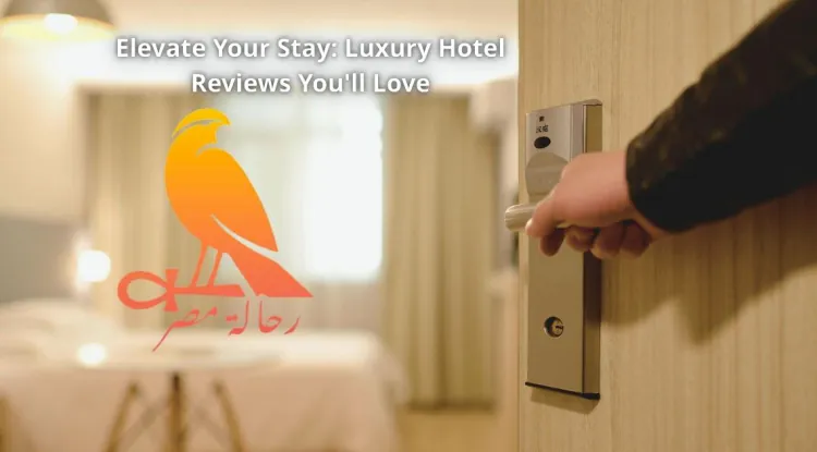 Elevate Your Stay: Luxury Hotel Reviews You'll Love