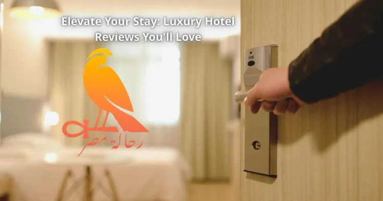 Elevate Your Stay: Luxury Hotel Reviews You'll Love