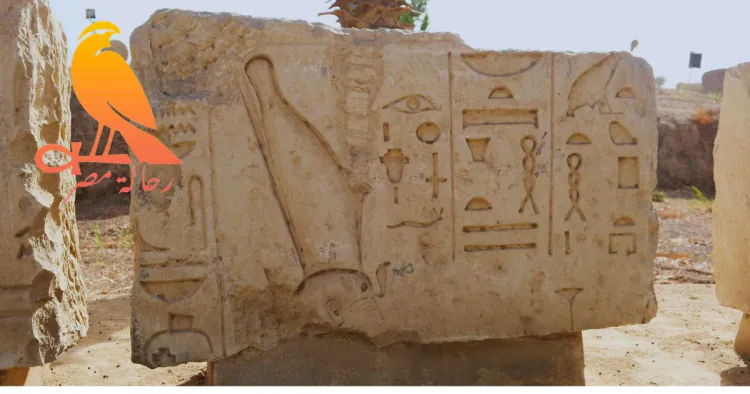 Exploring Egyptology: Uncover Ancient Egyptian Secrets