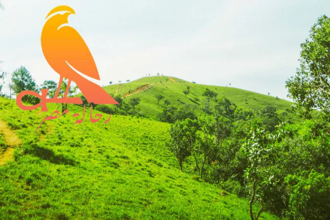 Plan Your Eco-Friendly Travel Adventure