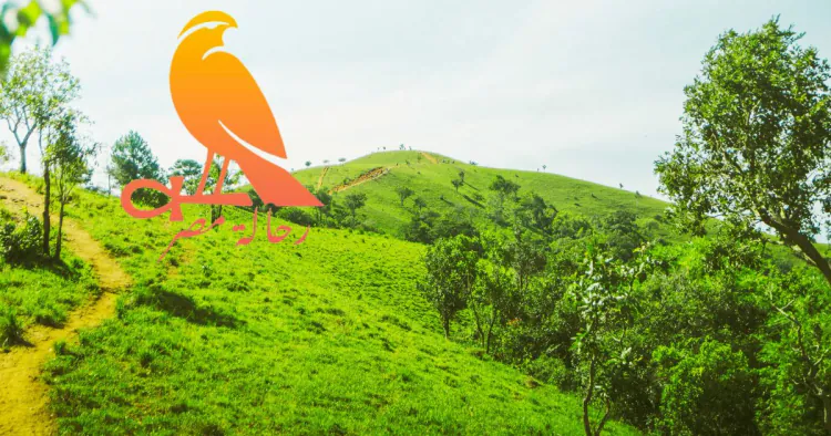 Plan Your Eco-Friendly Travel Adventure