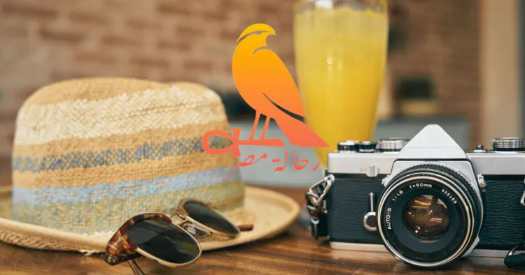 The Ultimate Guide to Top Travel Tips & Tricks