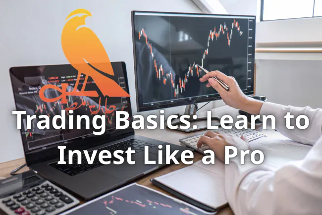 Trading Basics: Learn to Invest Like a Pro