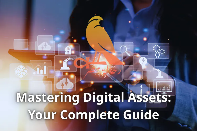 Mastering Digital Assets: Your Complete Guide