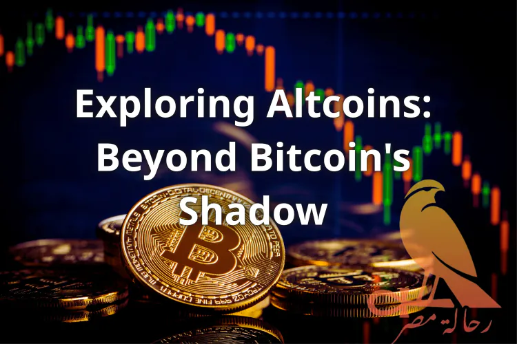 Exploring Altcoins: Beyond Bitcoin's Shadow